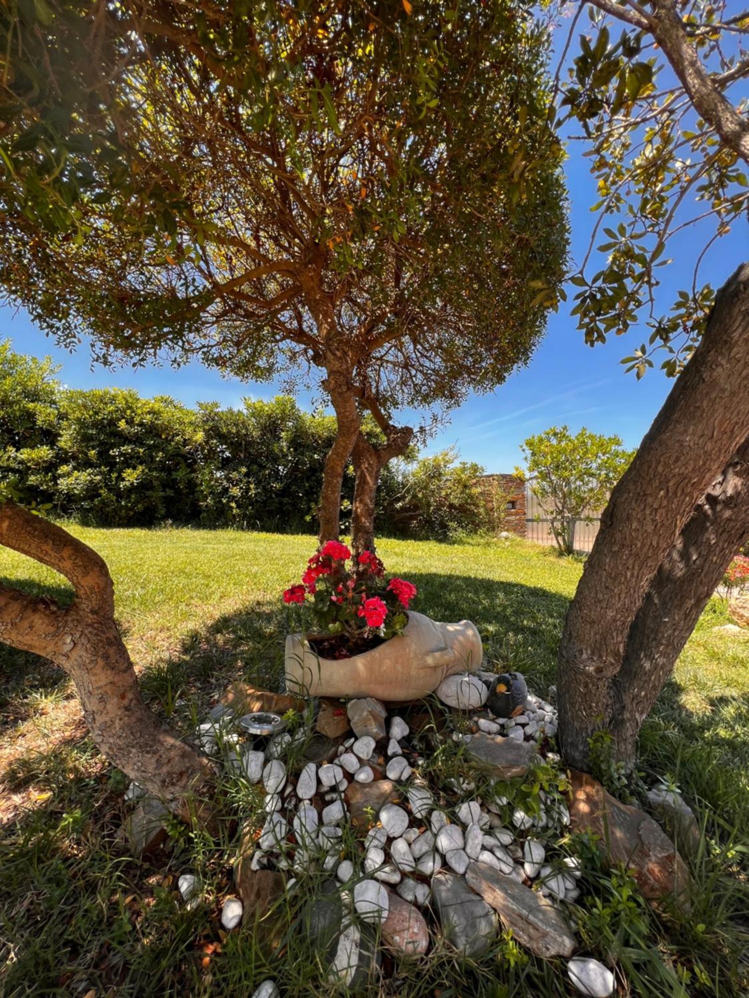 Villa Patrizia Stintino Exterior photo